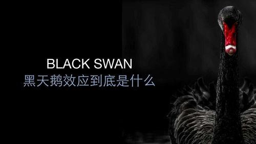 客久成主,见证历史变迁的传奇故事