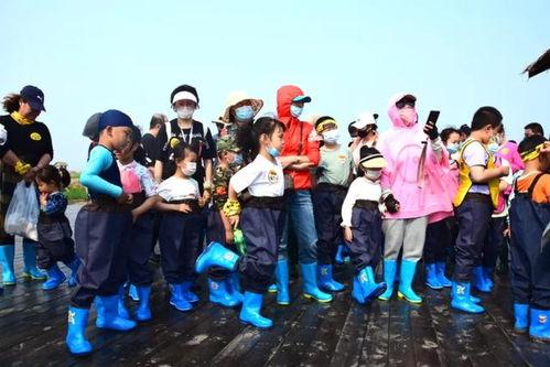 農耕新時代 第一季,探索现代农业科技与乡村振兴之路